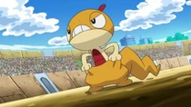 Imagen de Scraggy