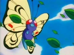 EP101 Butterfree de alas distintas