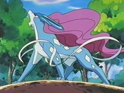 EP229 Suicune (4)