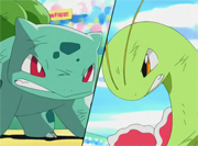 Meganium vs Bulbasaur.