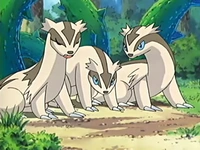 EP432 Manada de Linoone