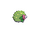 Shaymin tierra espalda G5.png