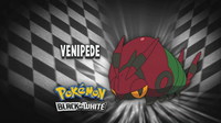 Venipede en el segmento "¿Quién es ese Pokémon?/¿Cuál es este Pokémon?".