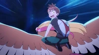 Pidgeot usando vuelo para cruzar un precipicio.