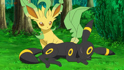 Leafeon, Pokémon Wiki