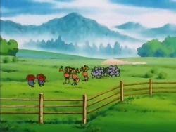 EP117 Grupo 1