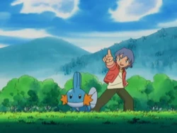 EP308 Recuerdo de Mudkip
