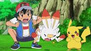 EP1106 Ash y Pikachu ayudan a Scorbunny para que aprenda Ascuas