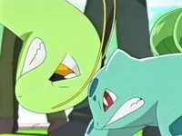 Bulbasaur vs. Meganium