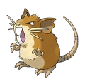Raticate