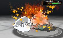 Colmillo ígneo ROZA.png (121 kB) Shroomish recibiendo colmillo ígneo en la sexta generación.