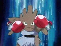 EP042 Hitmonchan
