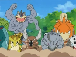 EP412 Pokémon de Noland(1)