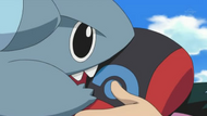 Gible mordiendo a Ash.