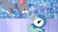 Glameow de Zoey/Zoe usando sorpresa. Corre y se dirige hacia el Piplup de Dawn/Maya...