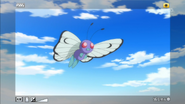 EP889 Butterfree