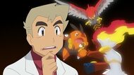 Infernape entrenando con el Pignite de Ash y Talonflame de Ash.