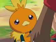 EP278 Torchic triste