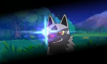 Poochyena usando robo en la sexta generación.