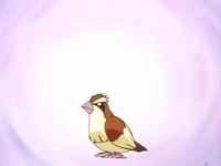 EP009 Pidgey