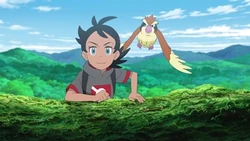 EP1142 Pidgey