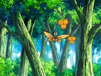 EP568 Combee y Mothim