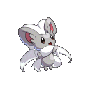 #097 Cinccino