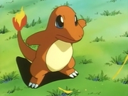 EP033 Charmander