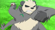 EP815 Pangoro