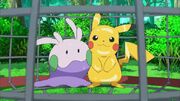 EP859 Pikachu y Goomy