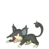Rattata de Alola