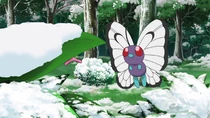 Imagen de Butterfree