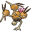 Dodrio