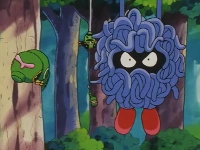 EP229 Caterpie y Tangela