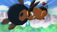 Tepig de Ash usando placaje contra el Roggenrola de Ash.