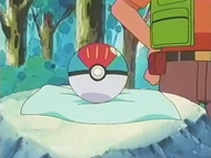 Cebo Ball con Totodile en su interior.