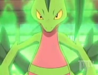 Grovyle usando espesura