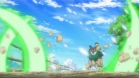 Gogoat usando hierba lazo