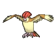 Imagen de Pidgeotto en Pokémon X, Pokémon Y, Pokémon Rubí Omega, Pokémon Zafiro Alfa, Pokémon Sol y Pokémon Luna