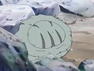 Un fósil cráneo en el EP486.