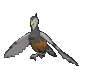 Imagen de Unfezant hembra en Pokémon X, Pokémon Y, Pokémon Rubí Omega, Pokémon Zafiro Alfa, Pokémon Sol y Pokémon Luna