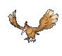 Imagen de Fearow en Pokémon X, Pokémon Y, Pokémon Rubí Omega, Pokémon Zafiro Alfa, Pokémon Sol y Pokémon Luna