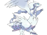 Reshiram