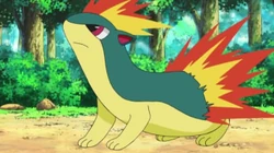 EE10 Quilava de Dawn