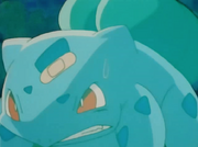 Bulbasaur se rehúsa a evolucionar.