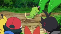 Imagen de Caterpie