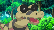 Sandile sin sus gafas.