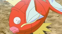 Imagen de Magikarp
