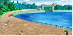 EE13 Politoed y Wigglytuff