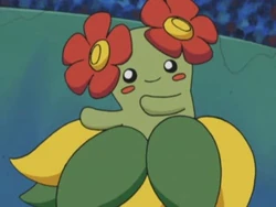 EP311 Bellossom